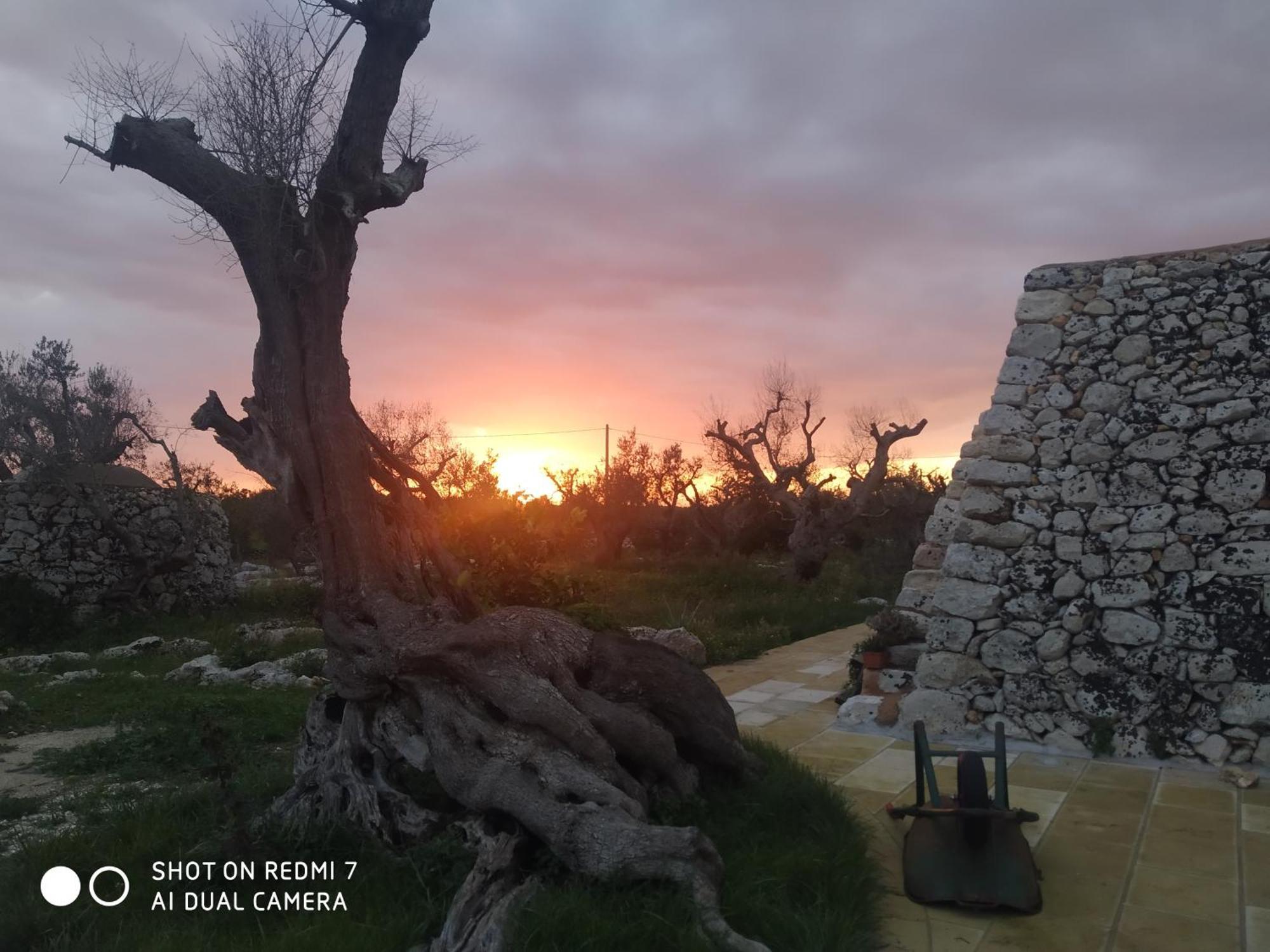 La Nicchia-Trullo Apartment Corigliano d'Otranto Exterior photo